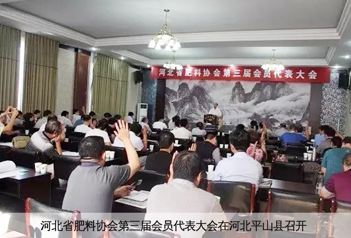 我公司总经理肖艳博士当选河北省肥料协会第三届理事会副理事长 我公司总经理肖艳博士当选河北省肥料协会第三届理事会副理事长