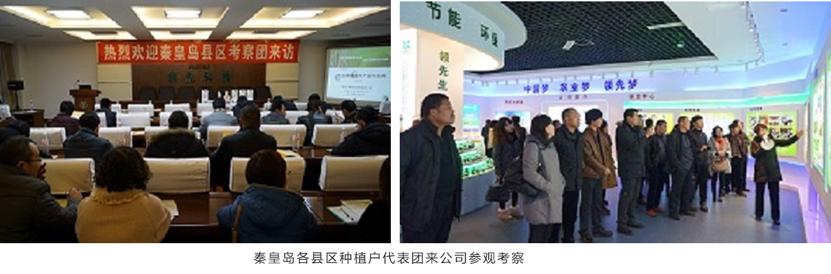 秦皇岛市农业局领导及县区种植户代表团来公司参观考察