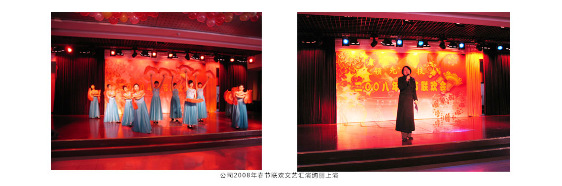 公司2008年春节联欢文艺汇演绚丽上演
