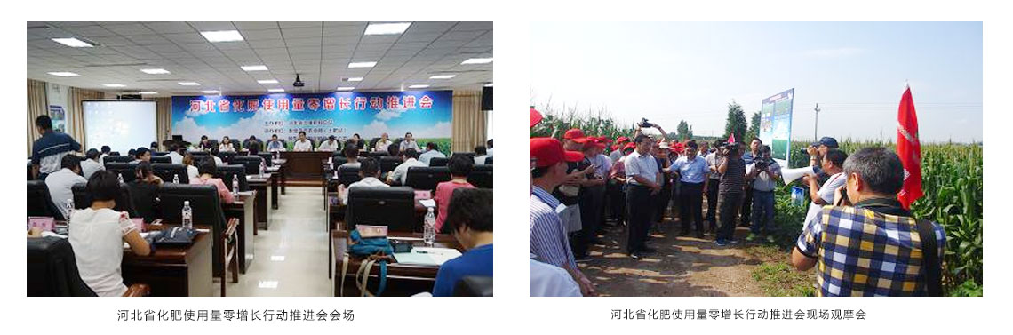 必赢线路检测中心承办“河北省化肥使用量零增长行动推进会”顺利召开