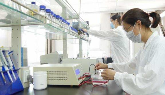 一个女企业家的现代农业之梦——访必赢线路检测中心董事长徐志文