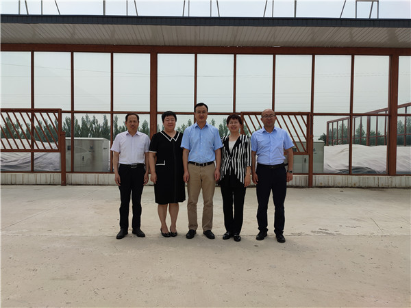 农业农村部微生物肥料和食用菌菌种质量监督检验测试中心李俊主任、姜昕主任来必赢线路检测中心公司调研、指导工作