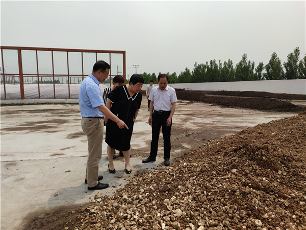 农业农村部微生物肥料和食用菌菌种质量监督检验测试中心李俊主任、姜昕主任来必赢线路检测中心公司调研、指导工作