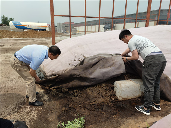 农业农村部微生物肥料和食用菌菌种质量监督检验测试中心李俊主任、姜昕主任来必赢线路检测中心公司调研、指导工作