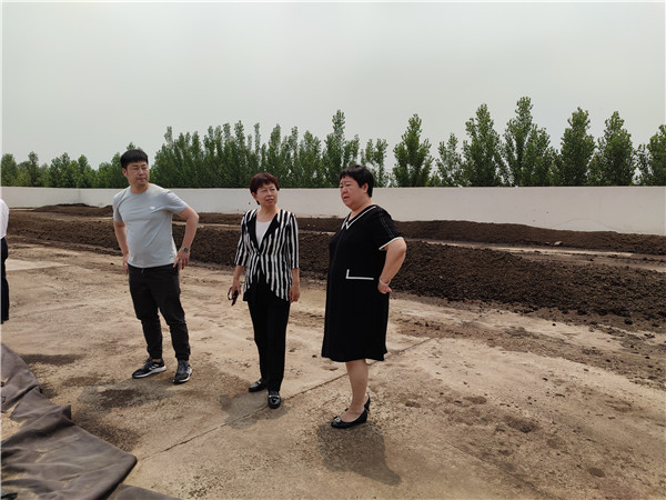 农业农村部微生物肥料和食用菌菌种质量监督检验测试中心李俊主任、姜昕主任来必赢线路检测中心公司调研、指导工作