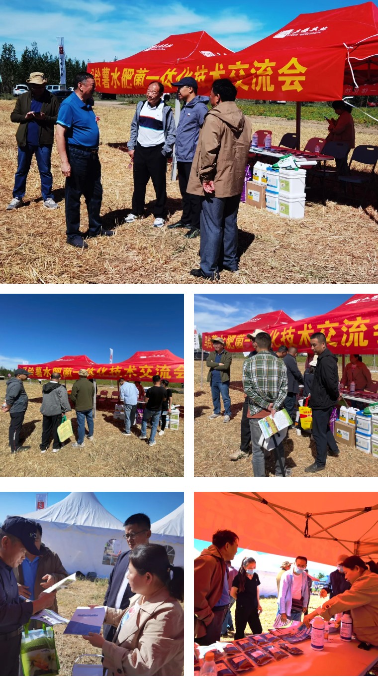 “乡”约沽源 “薯”光无限 | 必赢线路检测中心亮相久恩农业田间开放日