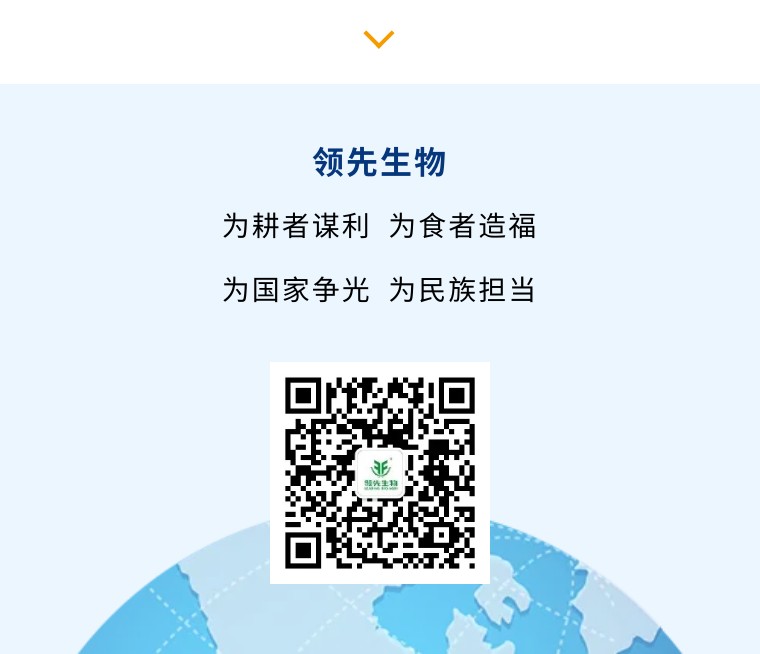 “乡”约沽源 “薯”光无限 | 必赢线路检测中心亮相久恩农业田间开放日