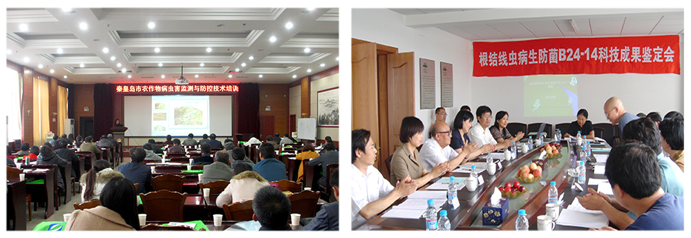 必赢线路检测中心益根劲菌多糖解决黄瓜根结线虫问题